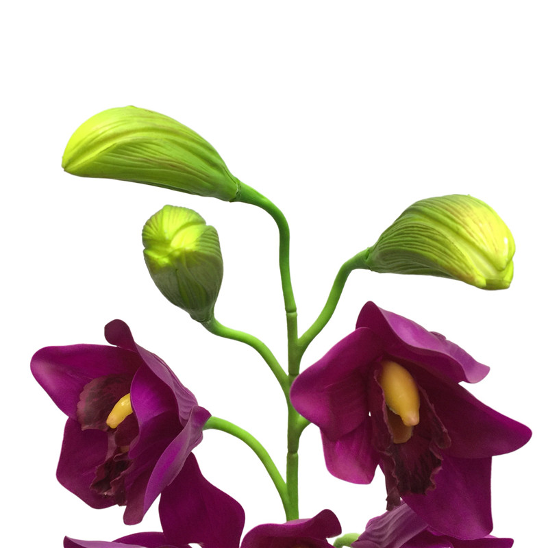 Simulated Cymbidium8198 (4)04g