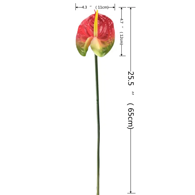 High Simulation Anthurium: Factory Direct Supplier