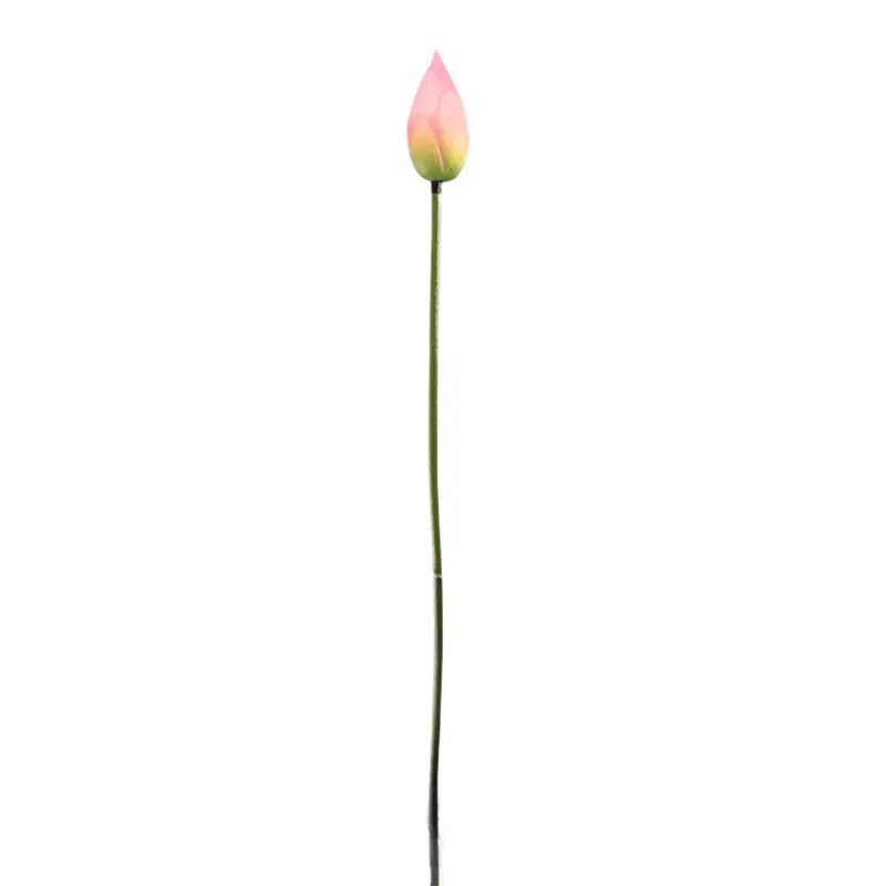 High-touch PVC Lotus Fruit: Factory Direct