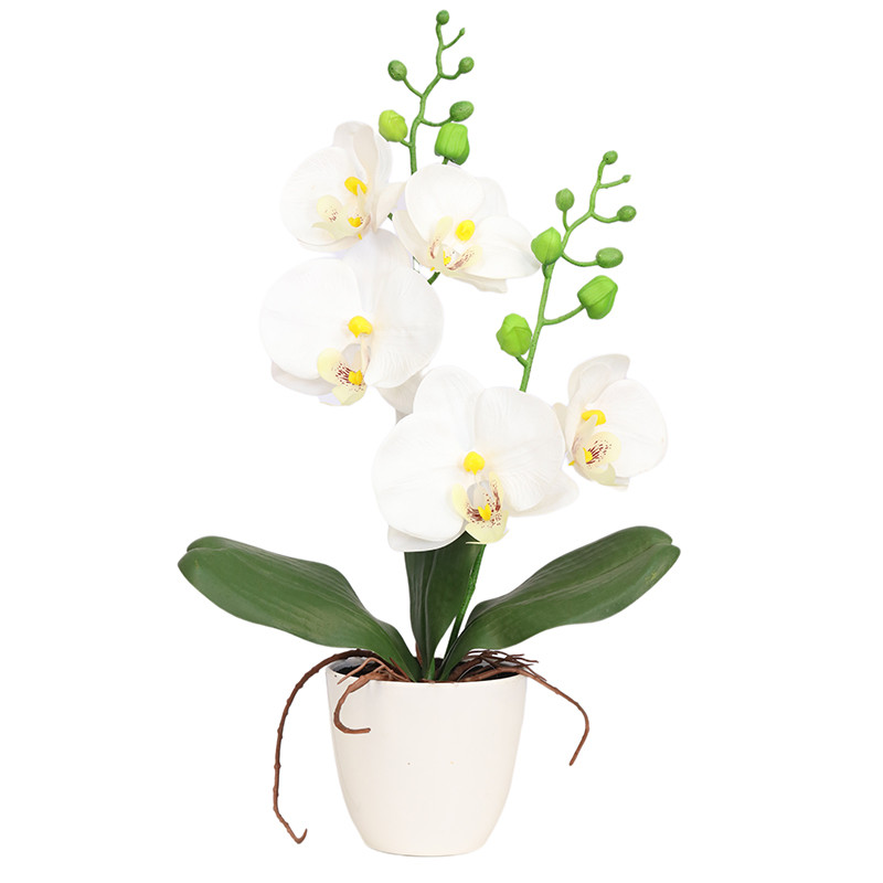 Factory Supplier of High-Simulation Phalaenopsis Bonsai