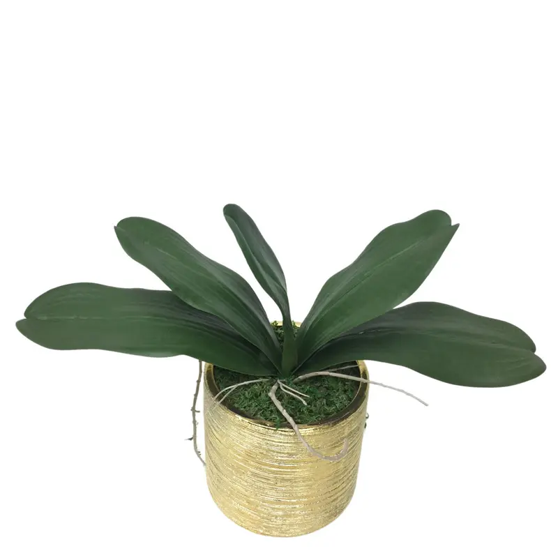 Factory Direct Highly Simulated Butterfly Orchid Leaves04atf