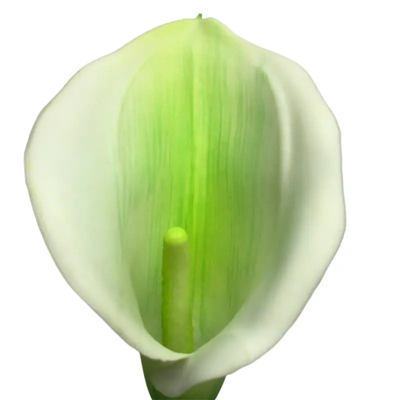 Manufacturers of Non-Fading Calla Lily Bonsai with Natural Simulation01feg