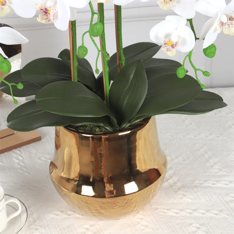 Factory Supplier of High-Quality Phalaenopsis Artificial Flower05f3h