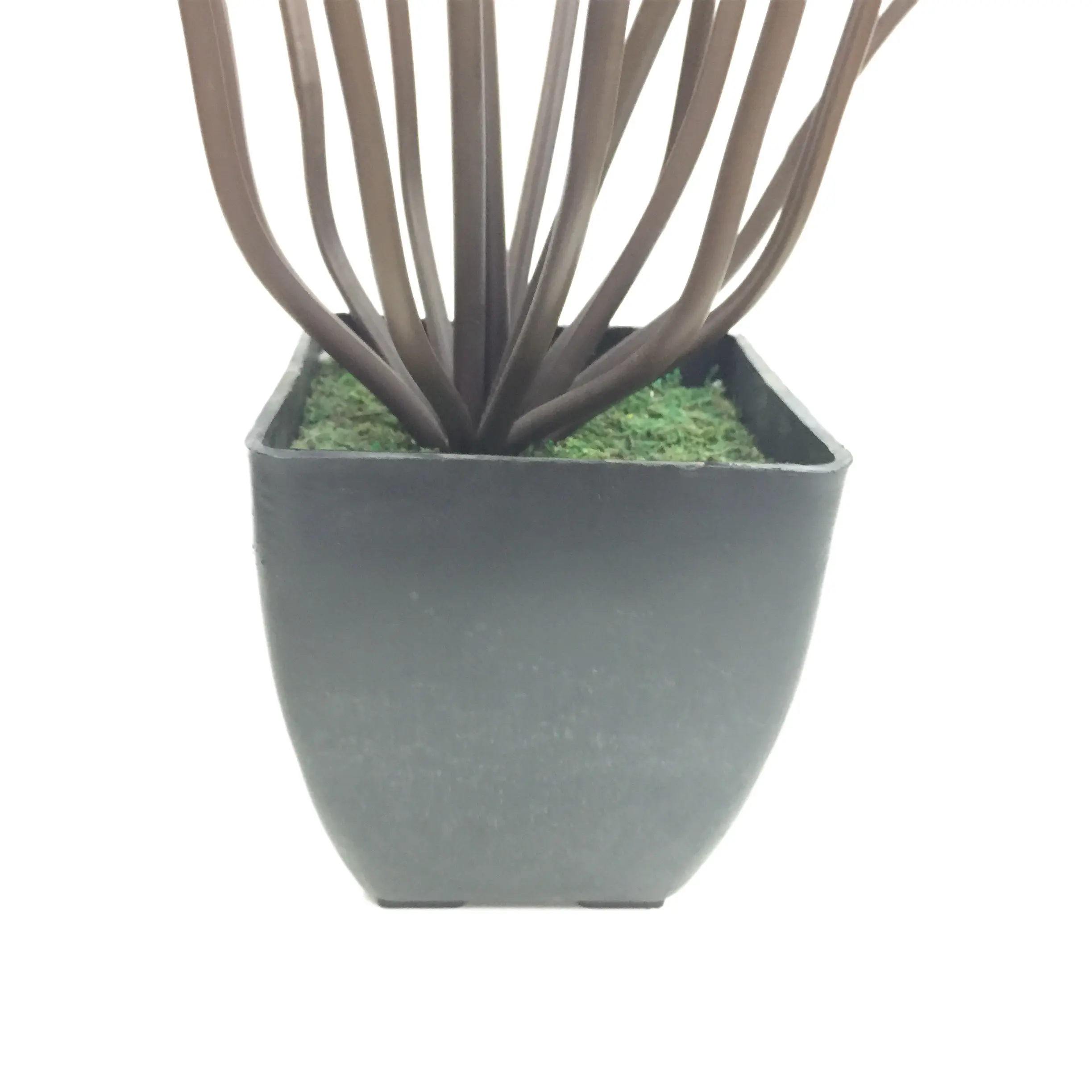 Natural Simulation Artificial Poppy