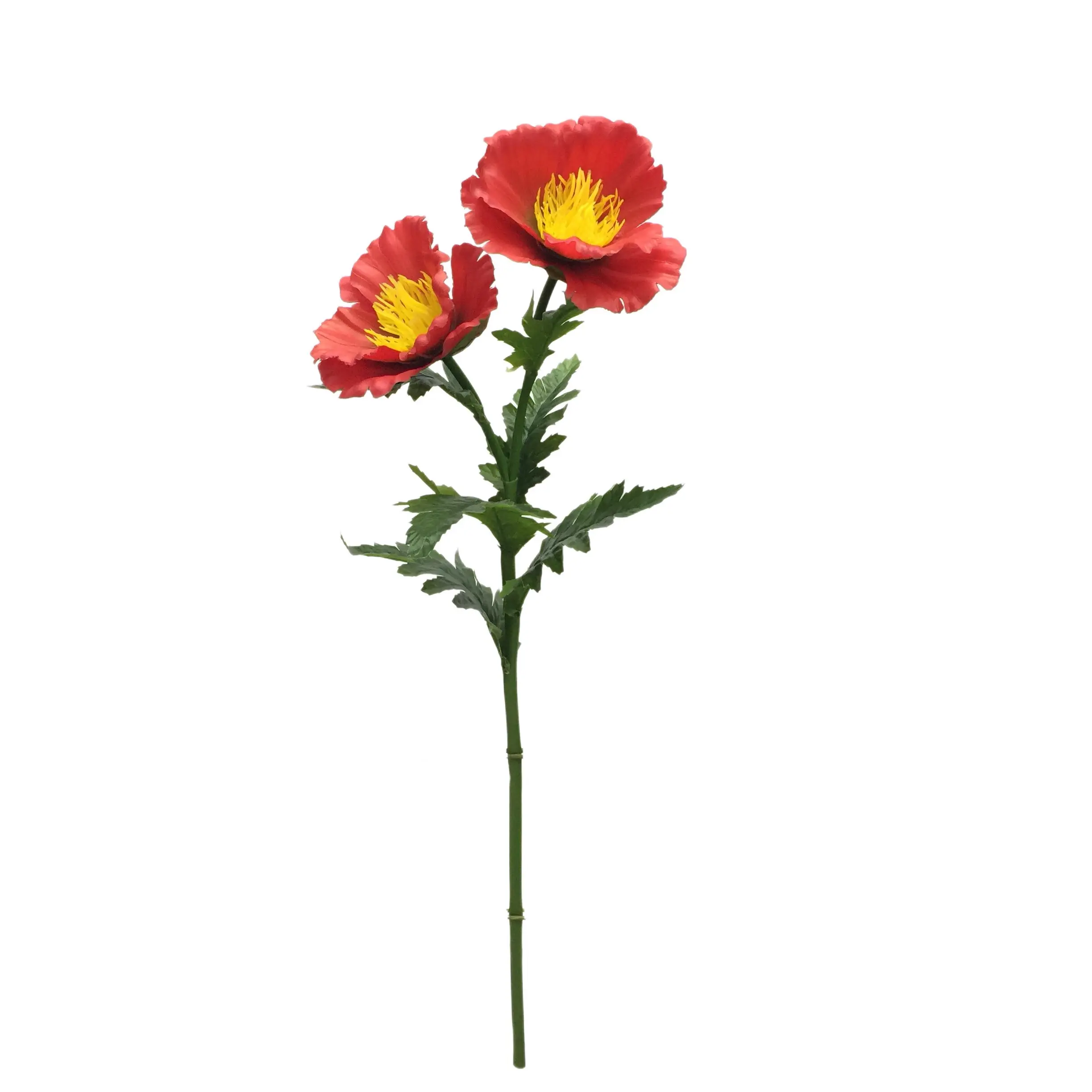 Natural Simulation Artificial Poppy