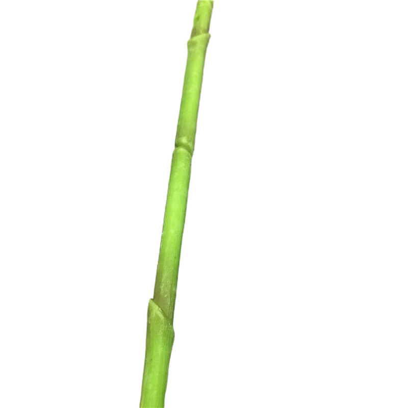 Simulated Cymbidium8198 (6)u80