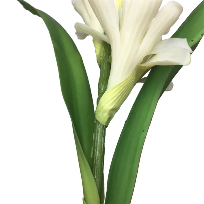 Leading Rubber Tuberose 6059-1 (13)epv