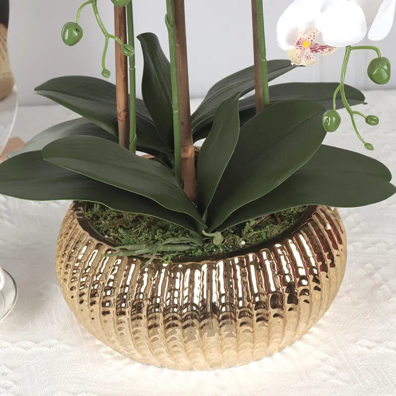 Factory Supplier of High-Quality Phalaenopsis Artificial Flower030fl
