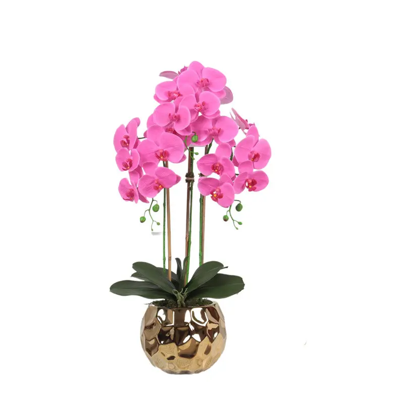 Factory Supplier of High-Simulation Phalaenopsis Bonsai