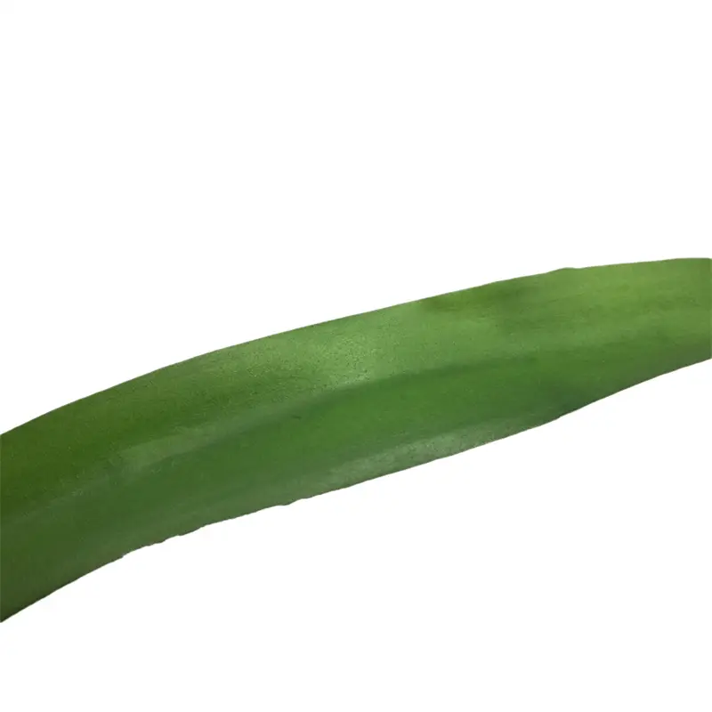Leading Rubber Tuberose 6059-1 (14)bdi