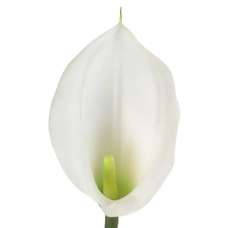 Manufacturers of Non-Fading Calla Lily Bonsai with Natural Simulation06gy9