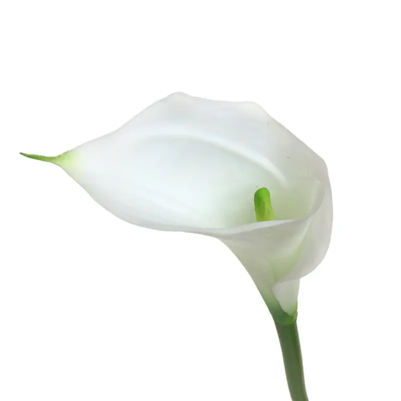 Manufacturers of Non-Fading Calla Lily Bonsai with Natural Simulation01w42