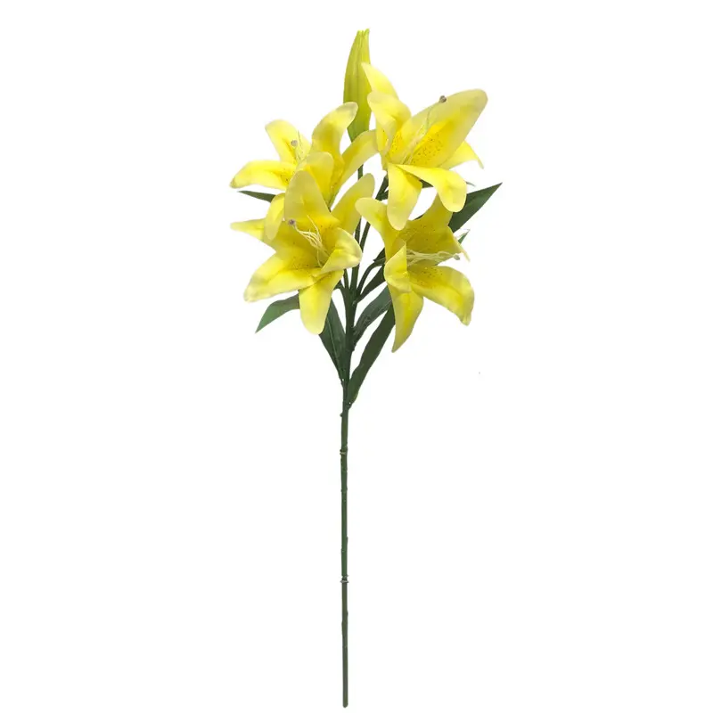 Manufacturer and Supplier of Tiger Orchids
