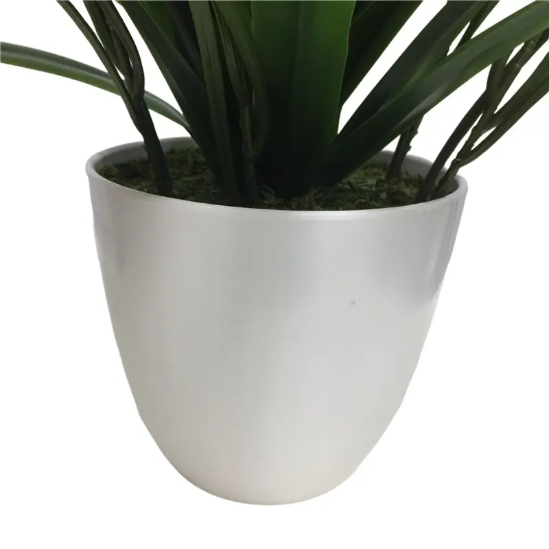 Simulated Cymbidium Bonsai 8321（2） (2)c7t