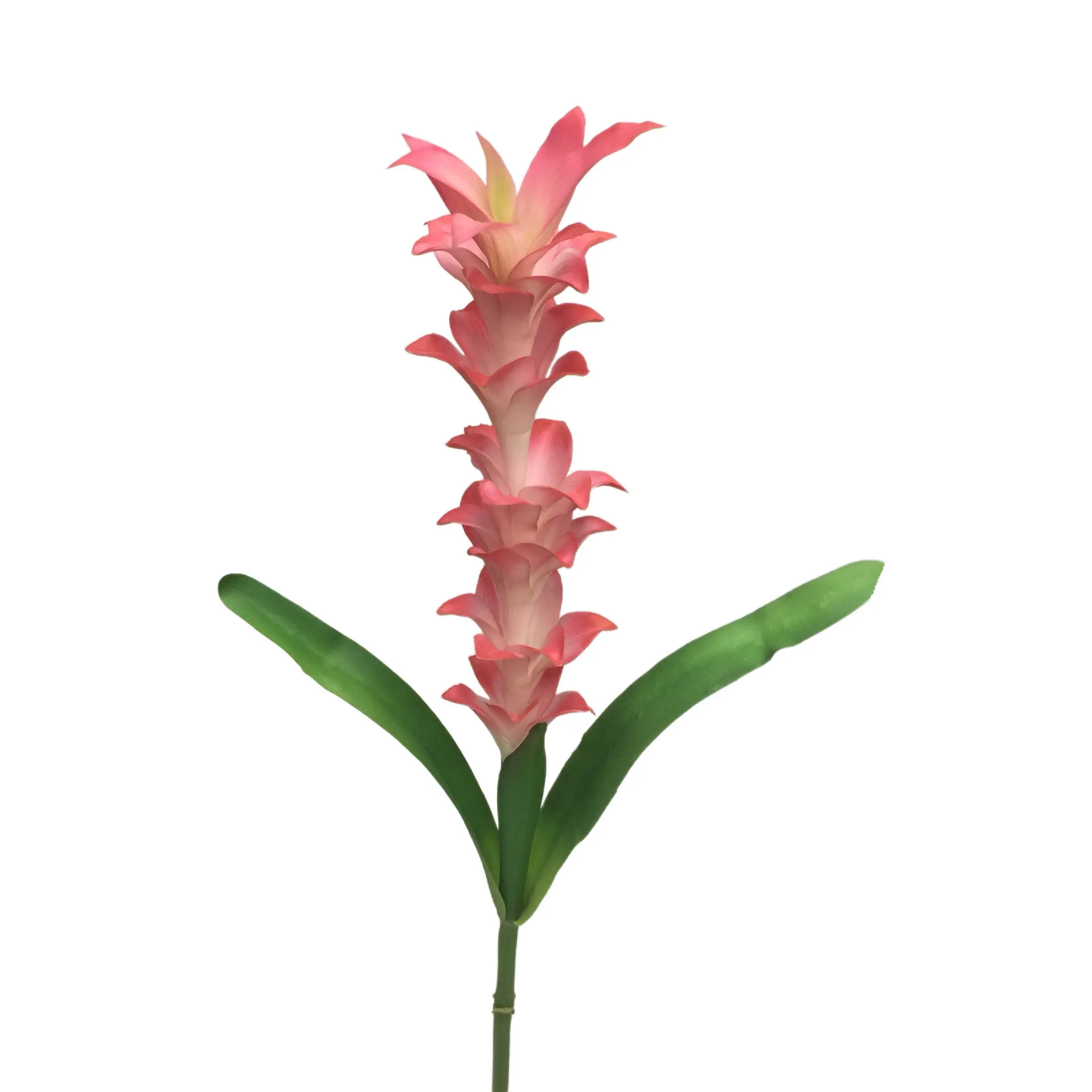 Expert Manufacturers of Natural Simulation Torchflower
