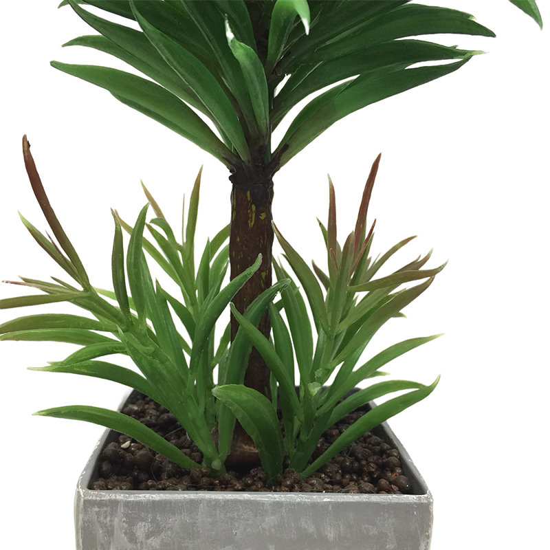 Natural Simulation Podocarpus Manufacturer