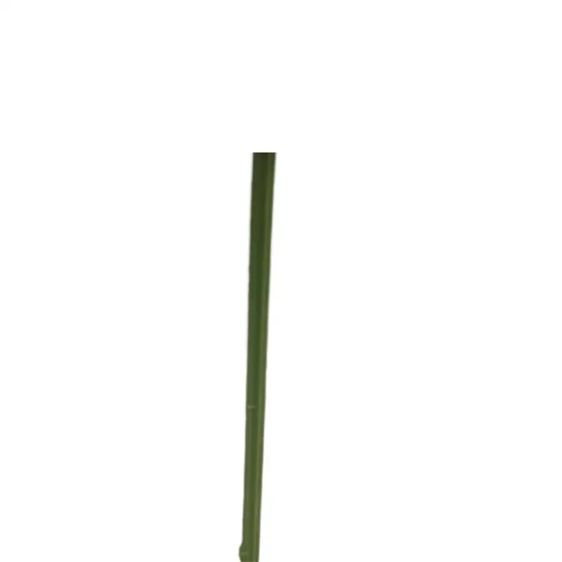 2021-04-08 112157bjd
