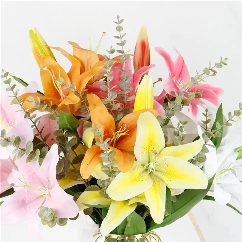 657d3ad74aa1e20096.webp
