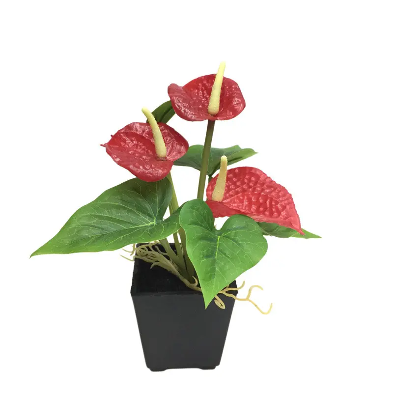 Factory-Made Anthurium Bonsai: High Simulation, Waterproof, ODM Available