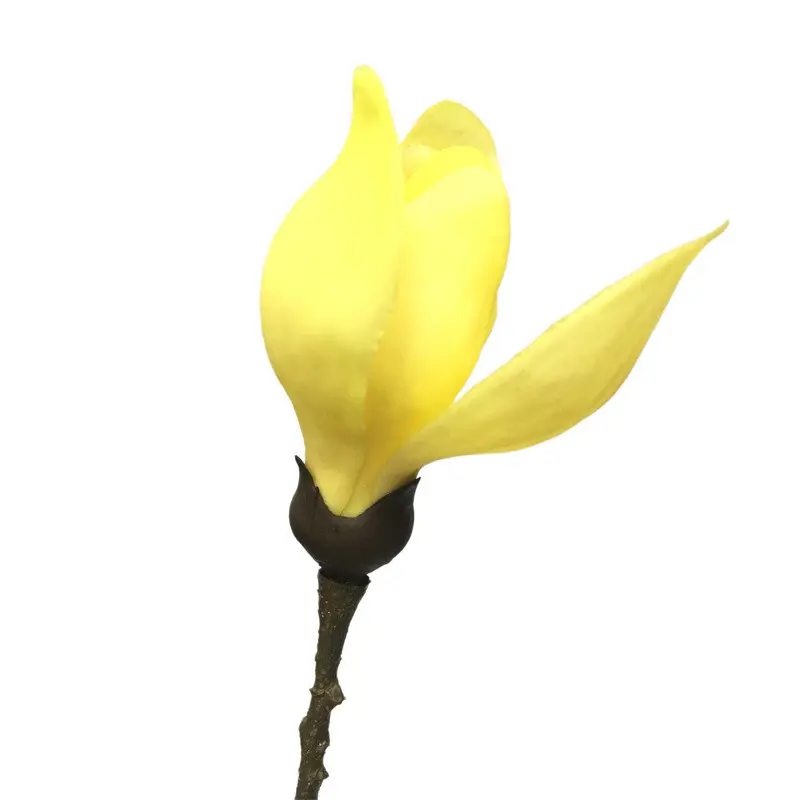 Direct Simulated Magnolia 6077 (11)28d1