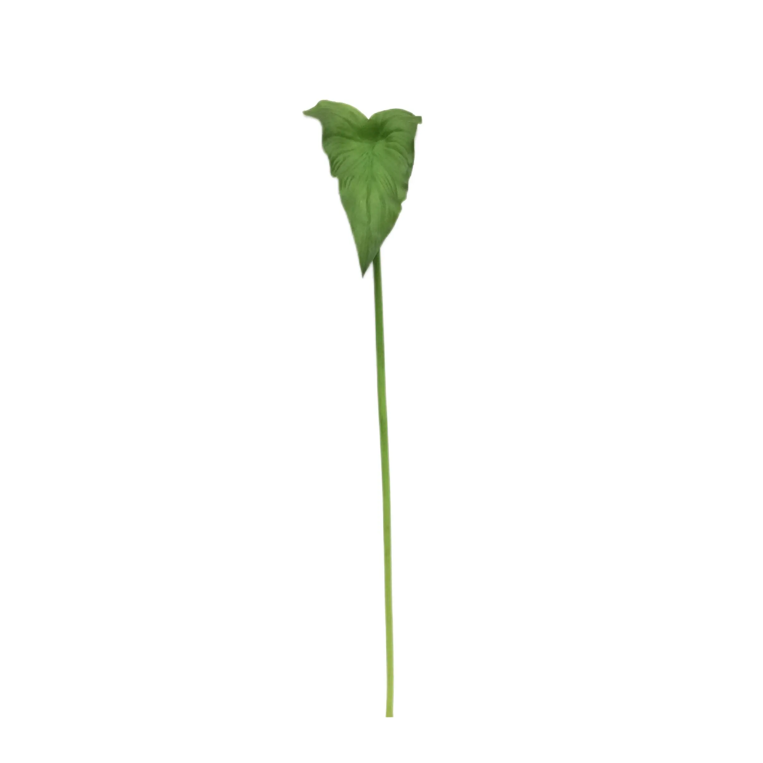 Natural Simulation Horseshoe Leaf Manufacturer