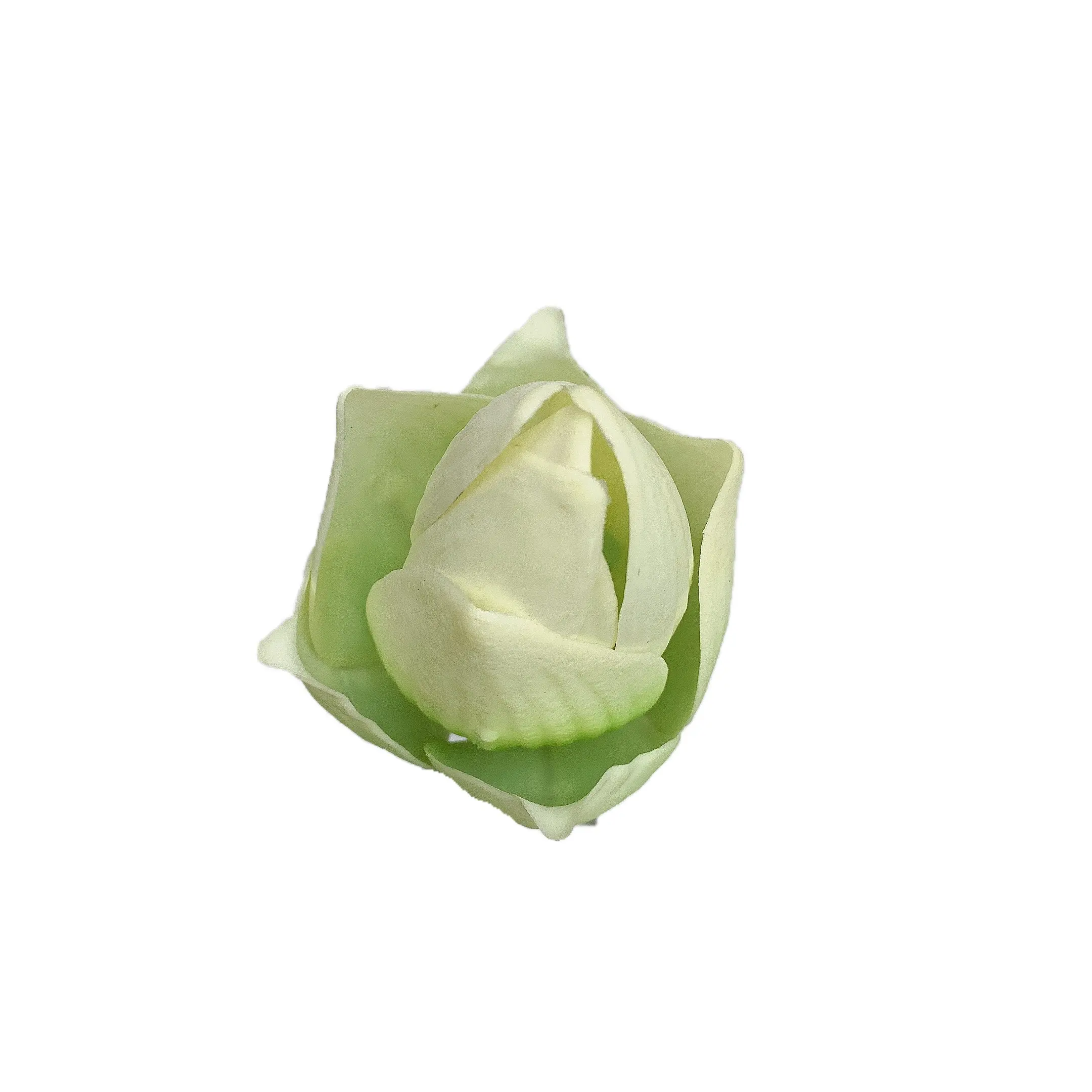 Natural Simulation Lotus Bud Manufacturer