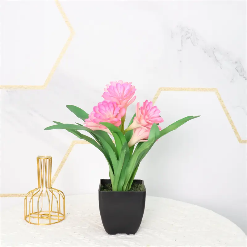 Leading Rubber Tuberose 6279-6-12 (6)wpc