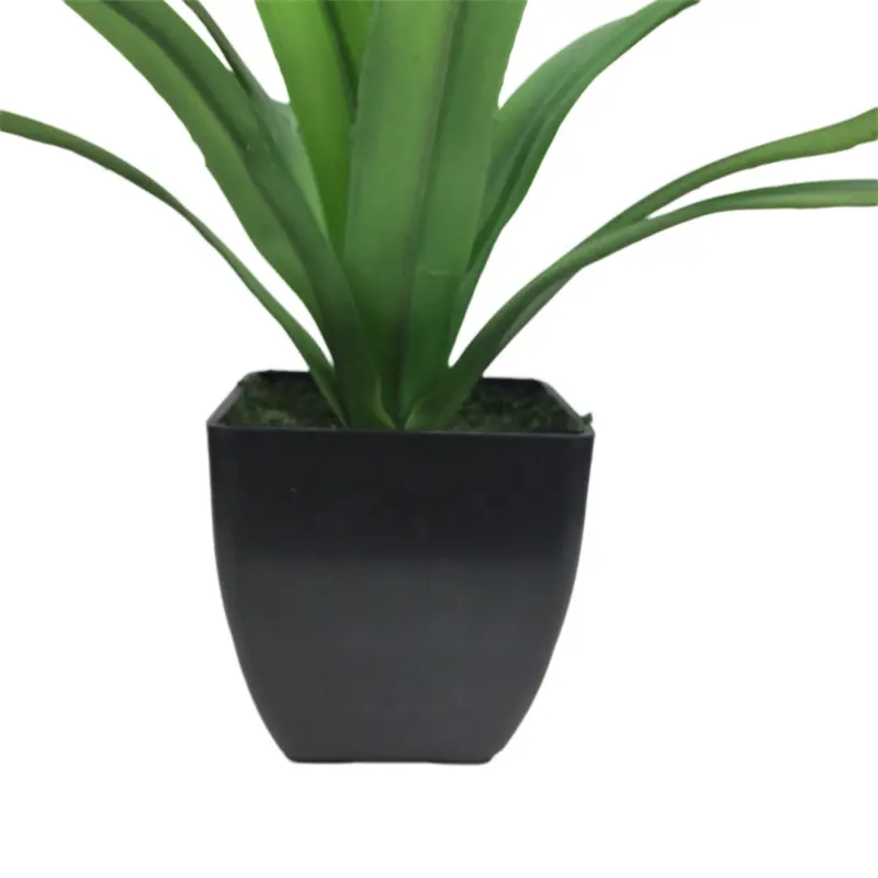 Leading Rubber Tuberose 6279 (10)szv