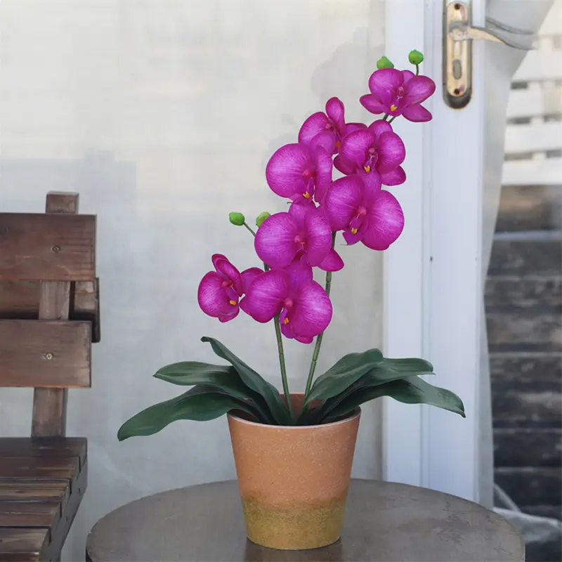 Factory Supplier of High-Quality Phalaenopsis Artificial Flower2mft