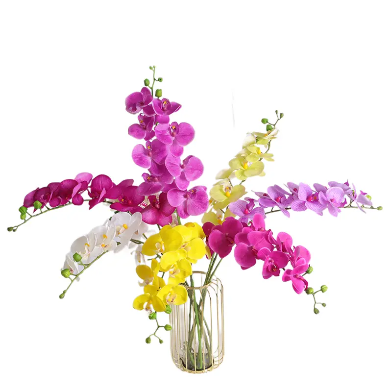 65993becbc86579116.webp