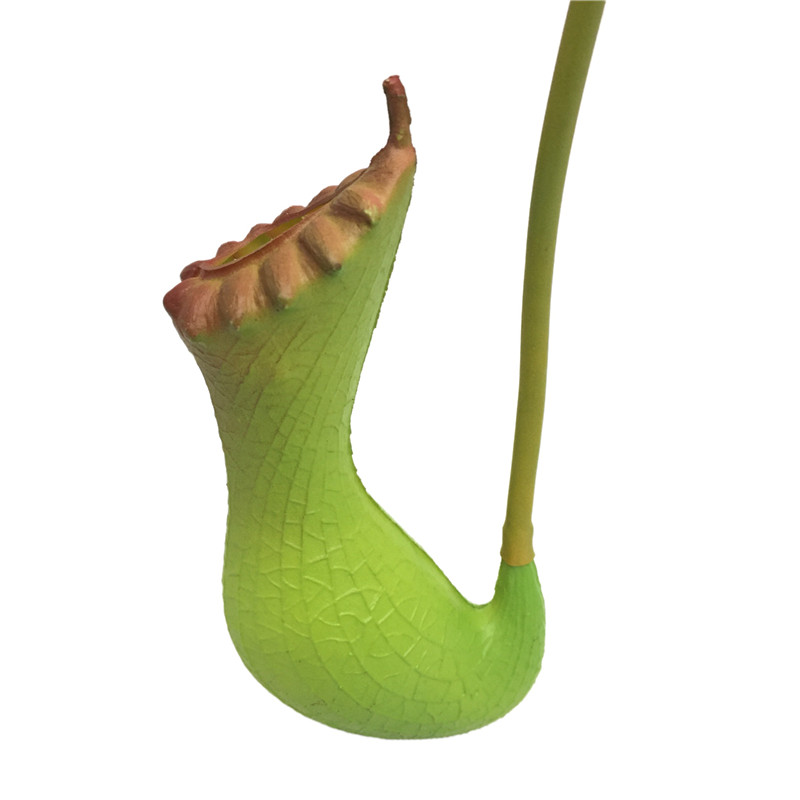 PVC pitcher plants 6034  11 (7)vv4