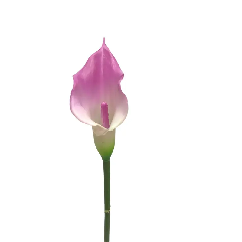 Manufacturers of Non-Fading Calla Lily Bonsai with Natural Simulation041c7