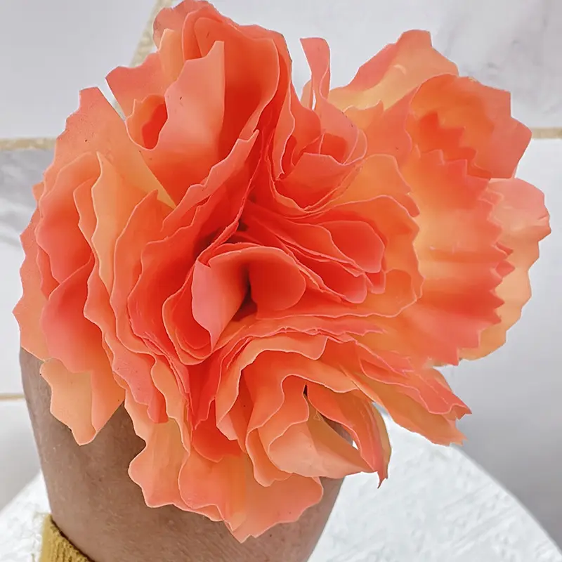 Simulation Carnations(2)q8q