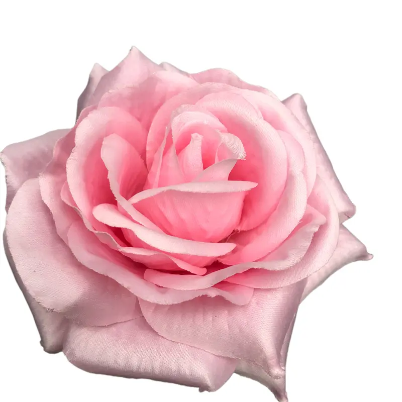 2021-01-24 100942qij