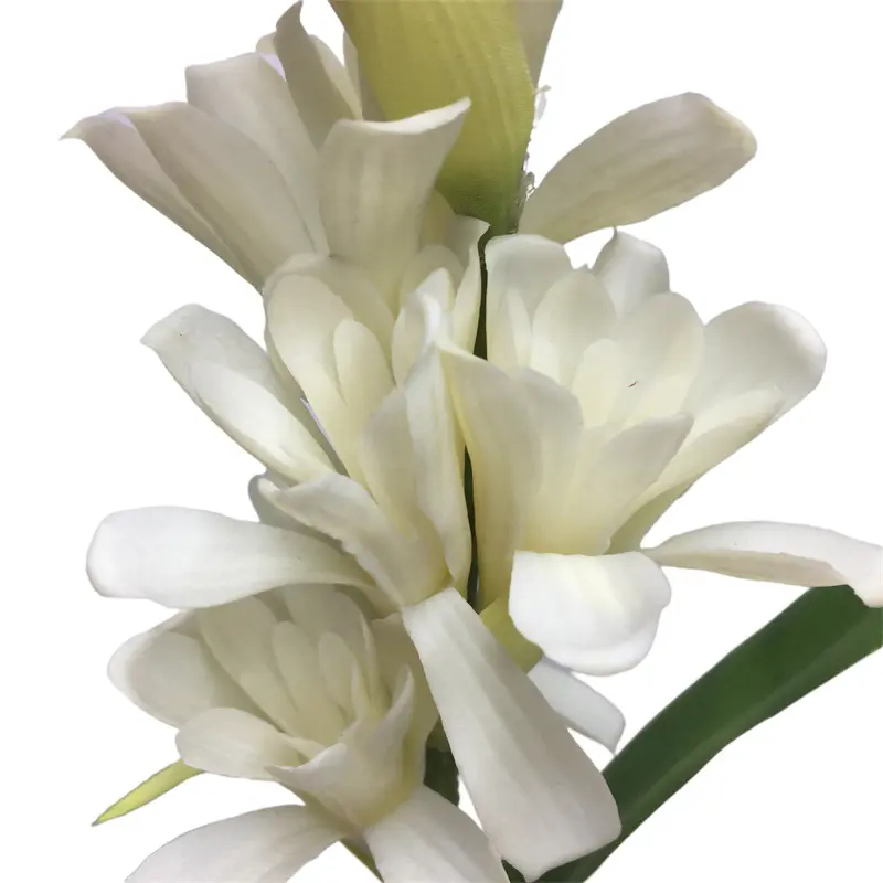 Leading Rubber Tuberose 6059-1 (5)nl0
