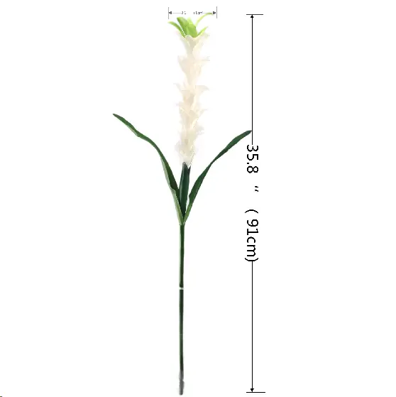 Expert Manufacturers of Natural Simulation Torchflower