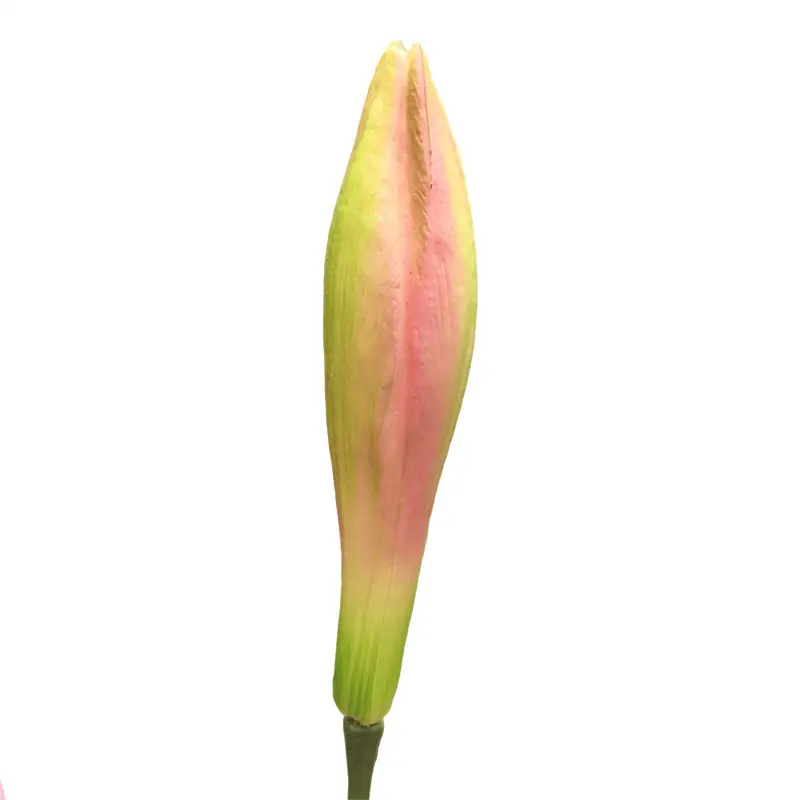 2021-04-08 102015y14