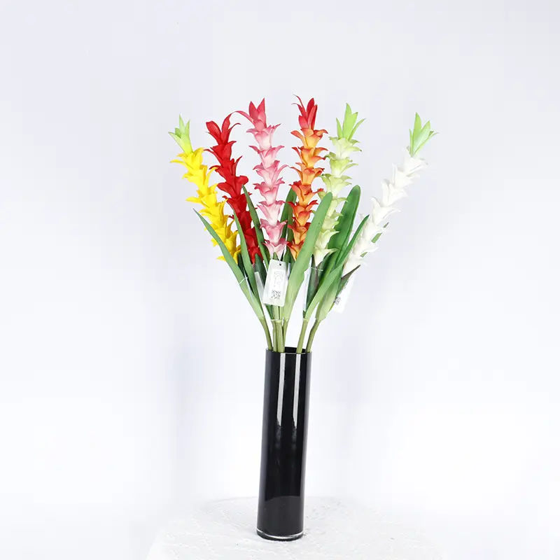 Expert Manufacturers of Natural Simulation Torchflower