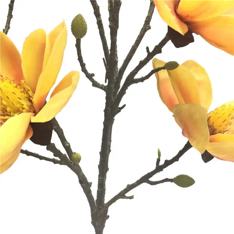Direct Simulated Magnolia-6077 (4)pav