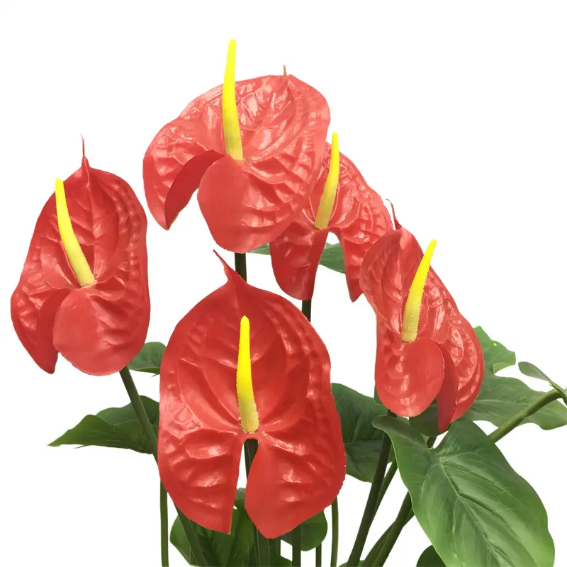 2102-4cm8