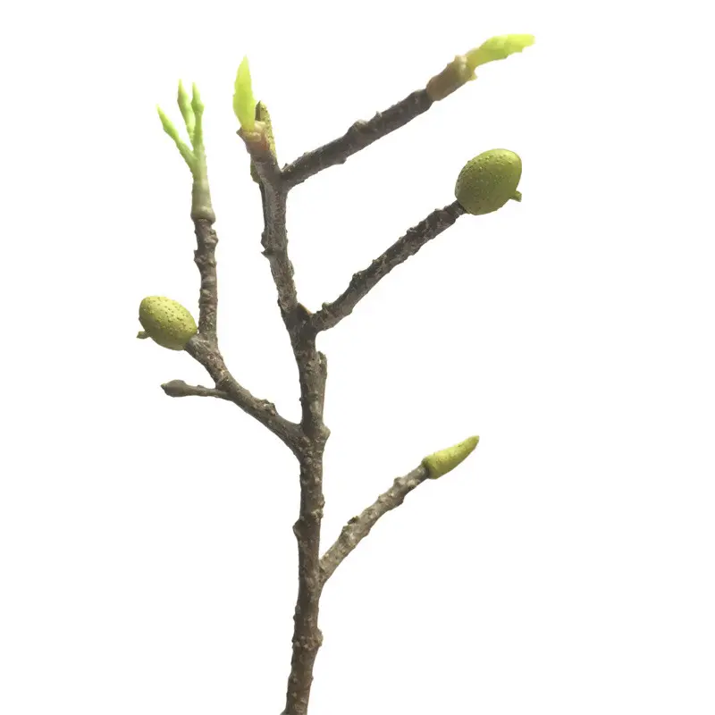 Fabric Bonsai 6146 11 (3)dem