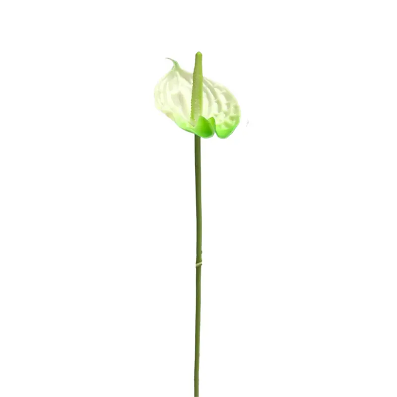 High Simulation Anthurium: Factory Direct Supplier