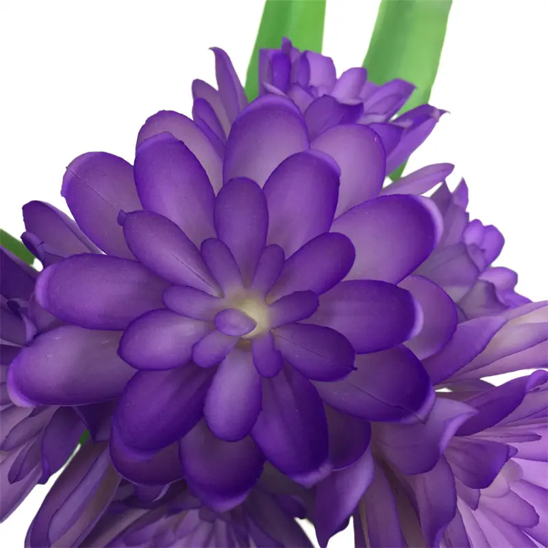 Leading Rubber Tuberose 6279 (9)7zn