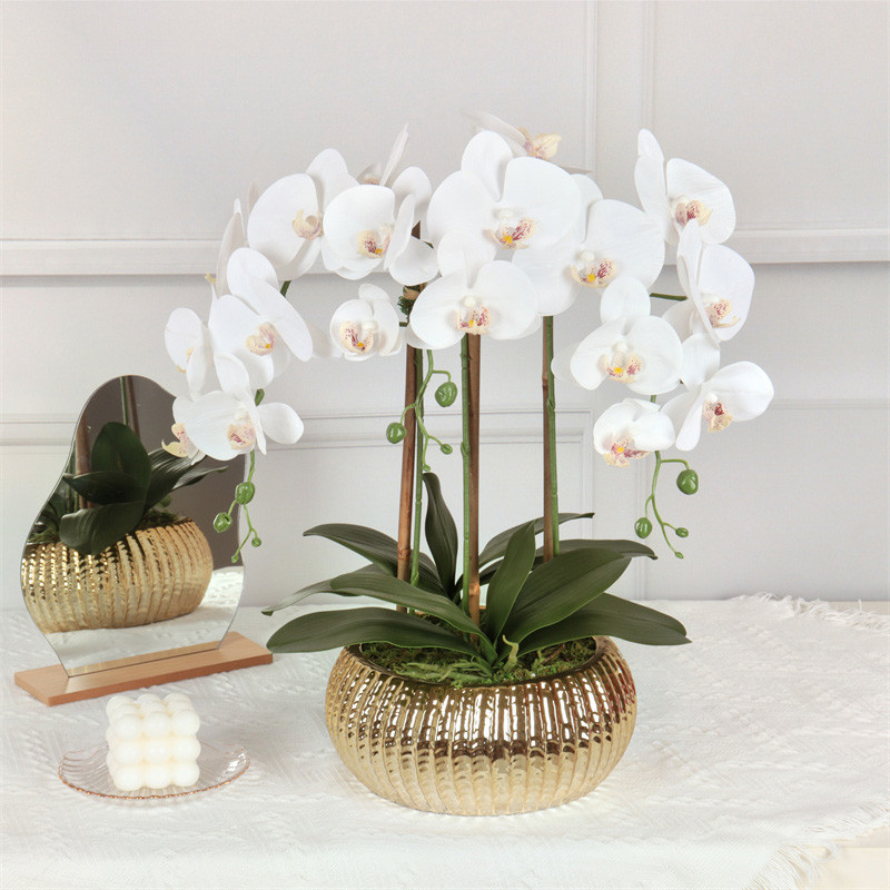 Factory Supplier of High-Simulation Phalaenopsis Bonsai02vx4