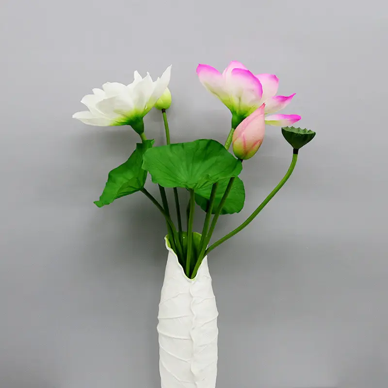 Lotus Flower Supplier for OEM1186ol