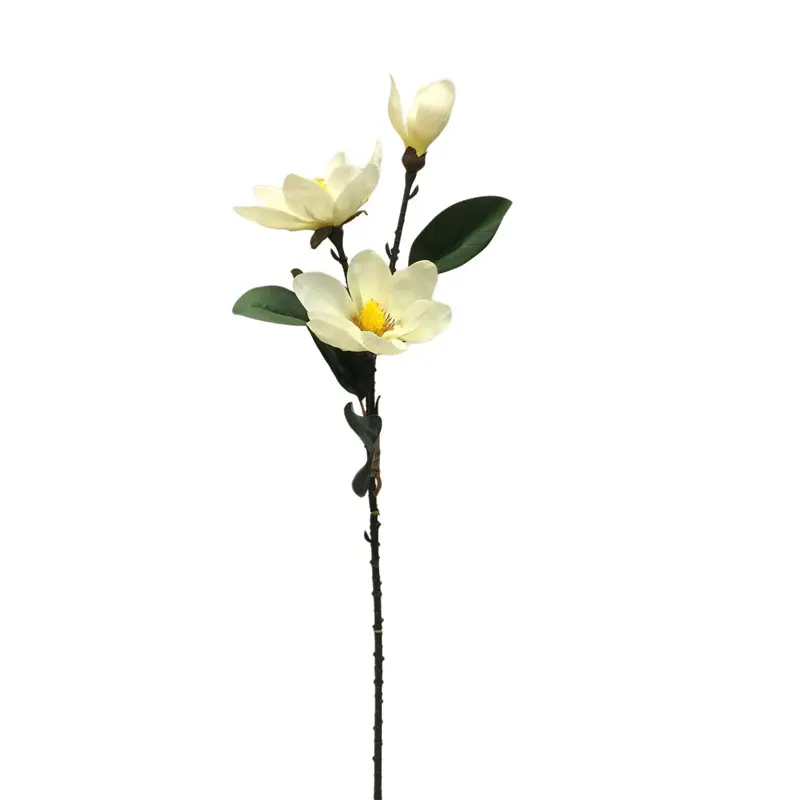 Factory Direct Simulated Magnolia Supplier