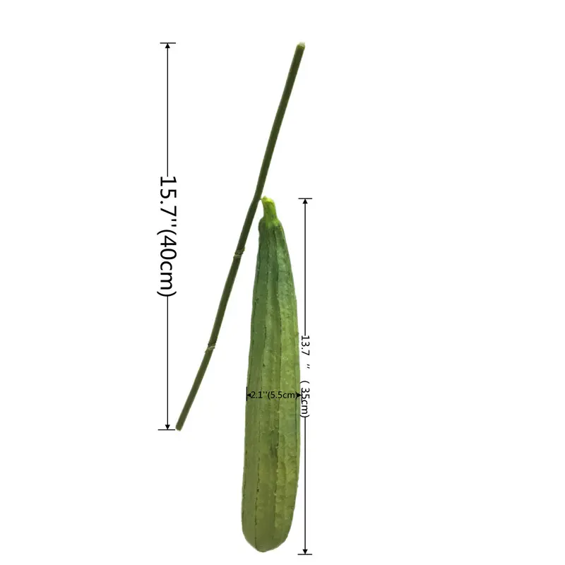 High-Quality PU Simulated Loofah Manufacturers-product