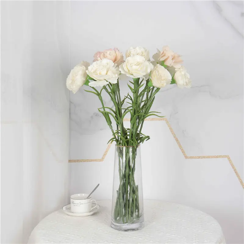 Simulation Carnations3(1)epi
