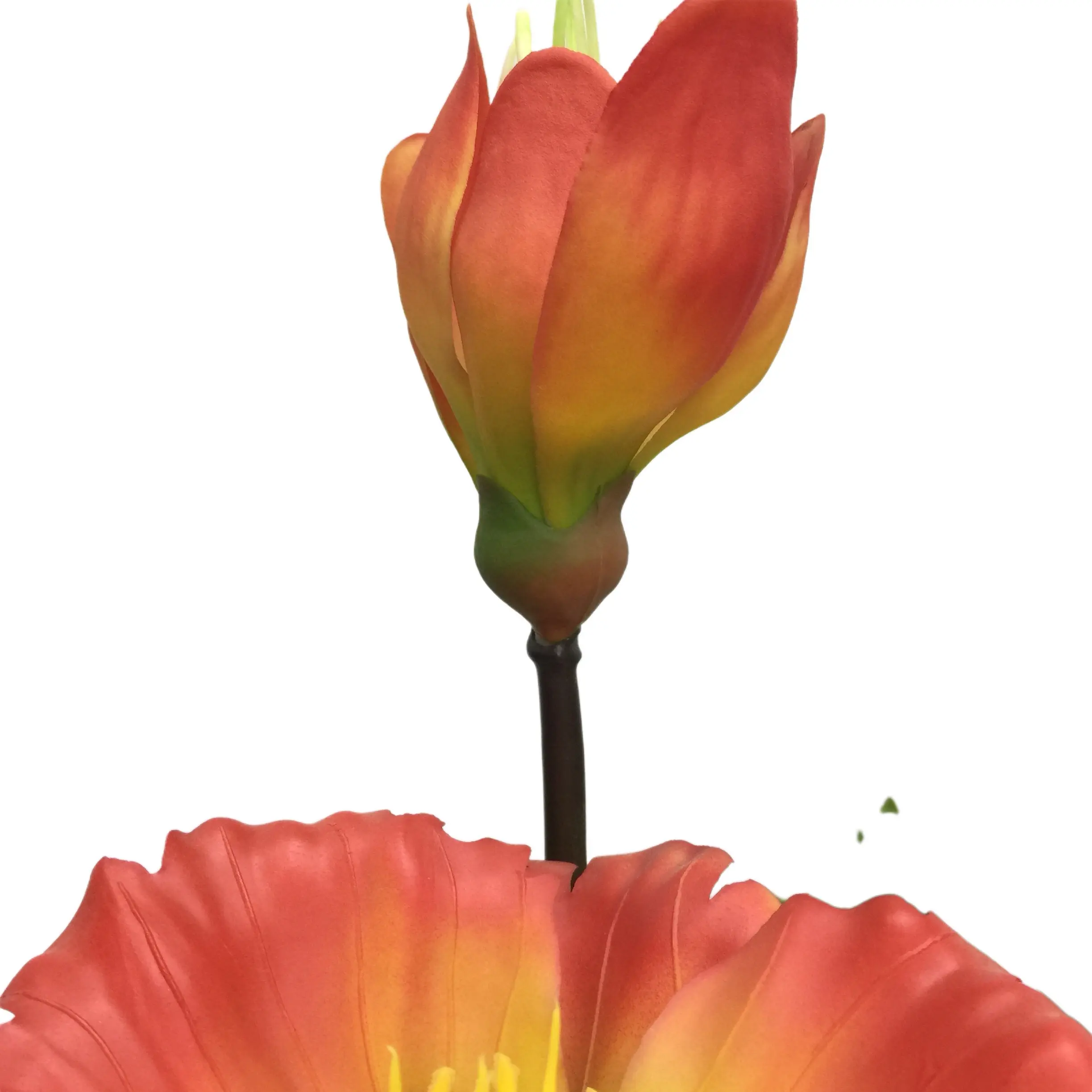 Natural Simulation Artificial Poppy