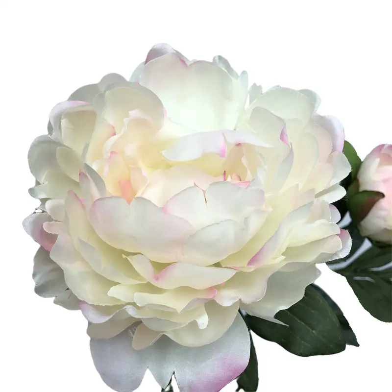 High-Simulation Peony Flower108t9n